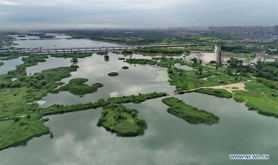 CHINA-HEBEI-SHIJIAZHUANG-RIVER-ECOLOGY (CN)