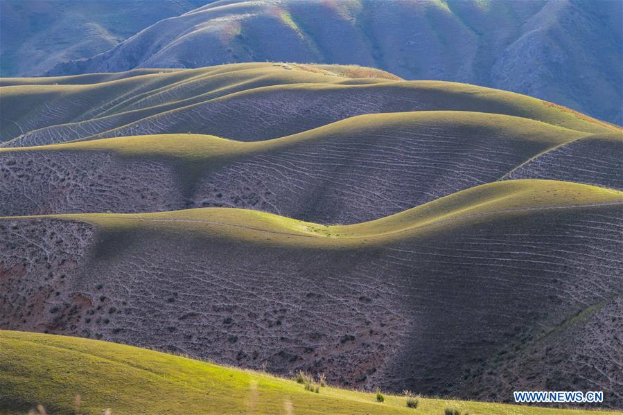 CHINA-XINJIANG-TEKES-KALAJUN GRASSLAND-SCENERY (CN)