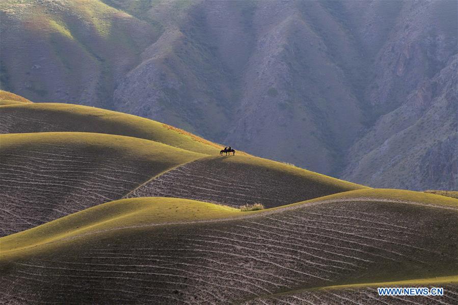 CHINA-XINJIANG-TEKES-KALAJUN GRASSLAND-SCENERY (CN)