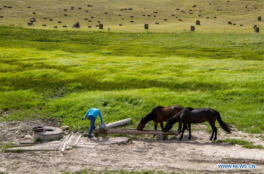 CHINA-XINJIANG-TEKES-KALAJUN GRASSLAND-SCENERY (CN)