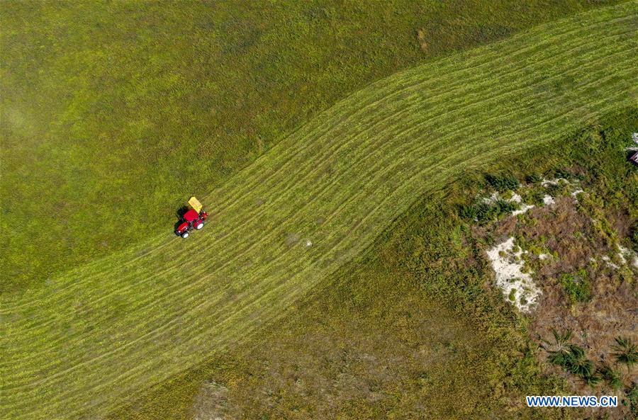CHINA-XINJIANG-TEKES-KALAJUN GRASSLAND-SCENERY (CN)