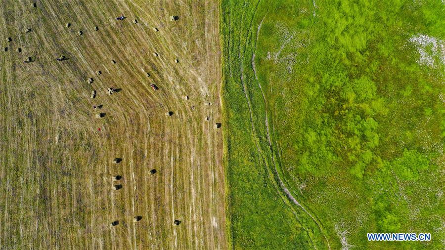 CHINA-XINJIANG-TEKES-KALAJUN GRASSLAND-SCENERY (CN)