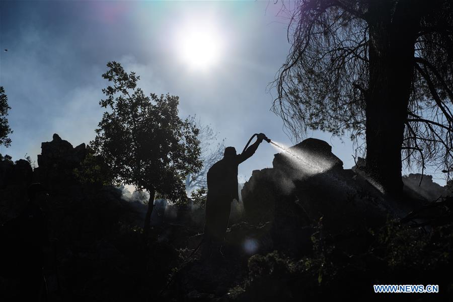 GREECE-EVIA-WILDFIRE