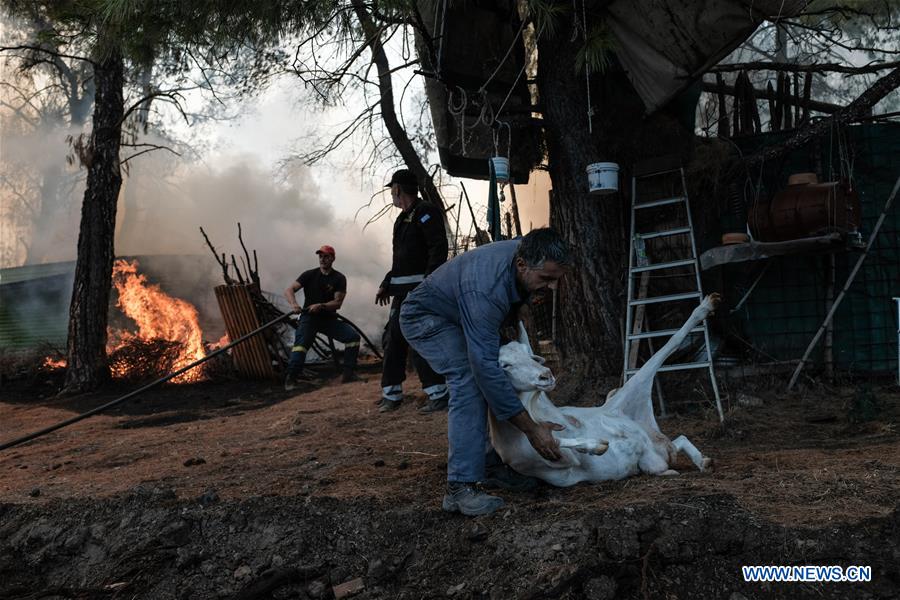GREECE-EVIA-WILDFIRE