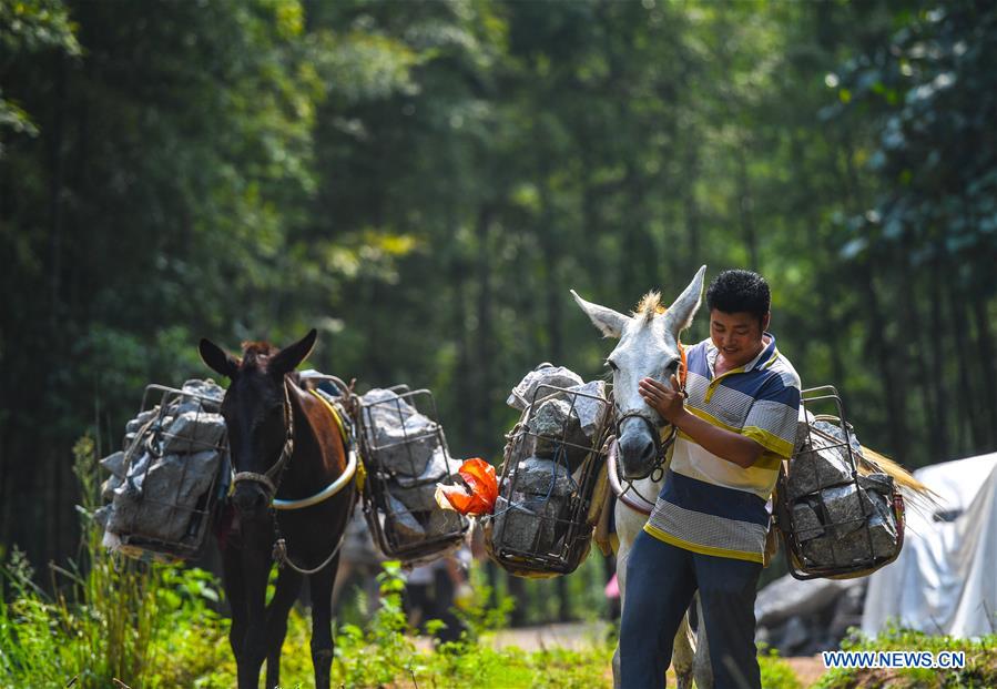 CHINA-JIANGXI-XINGGUO-STONE CONVEYING (CN)