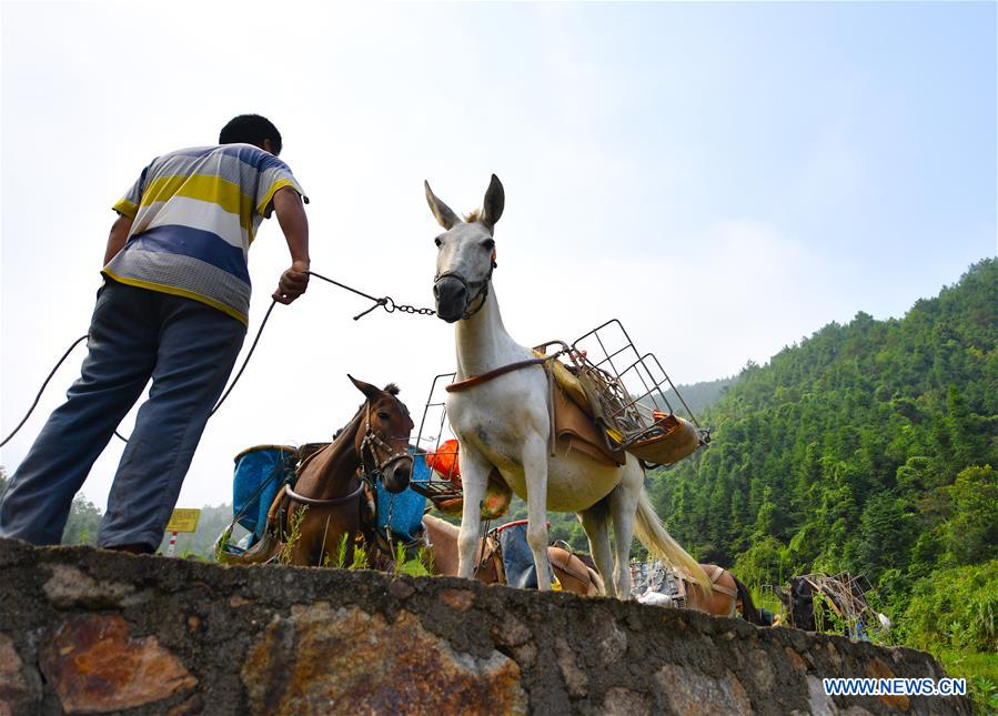 CHINA-JIANGXI-XINGGUO-STONE CONVEYING (CN)