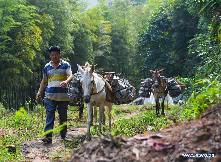 CHINA-JIANGXI-XINGGUO-STONE CONVEYING (CN)