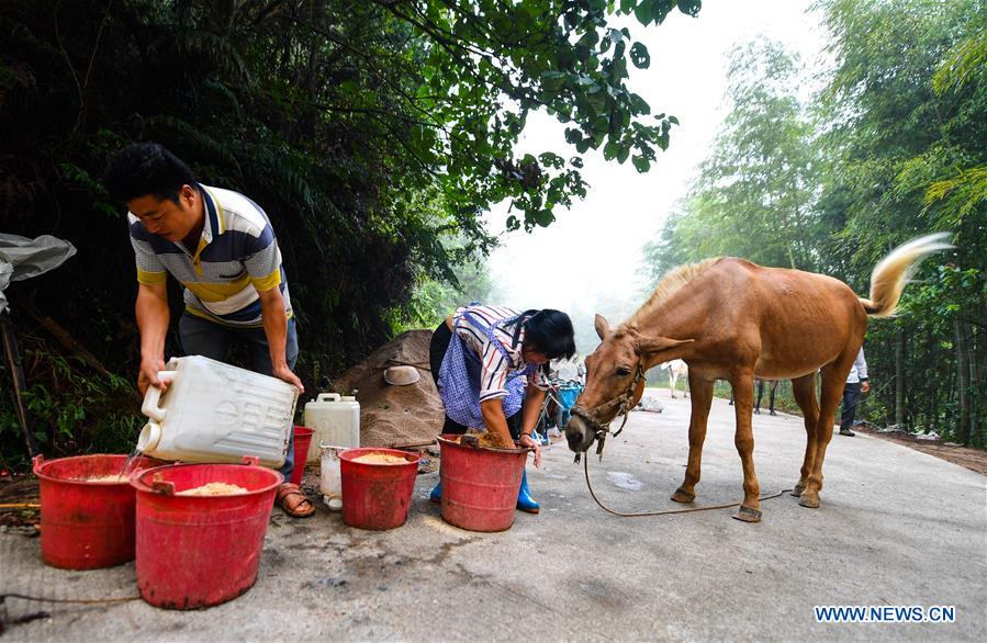 CHINA-JIANGXI-XINGGUO-STONE CONVEYING (CN)
