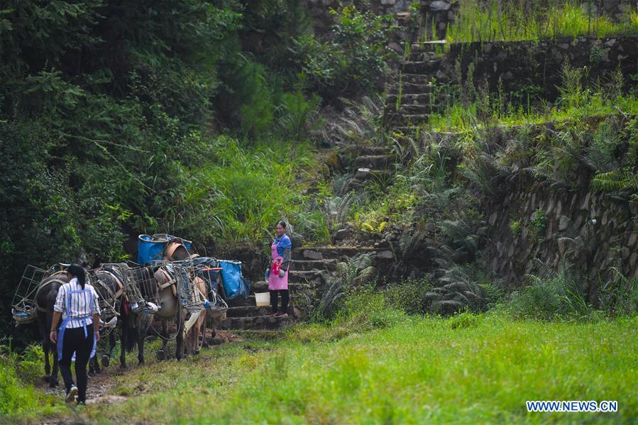 CHINA-JIANGXI-XINGGUO-STONE CONVEYING (CN)