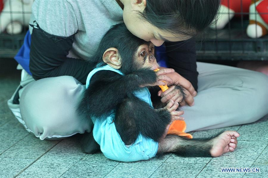 THAILAND-SAMUT PRAKARN-TOURISM-ZOO