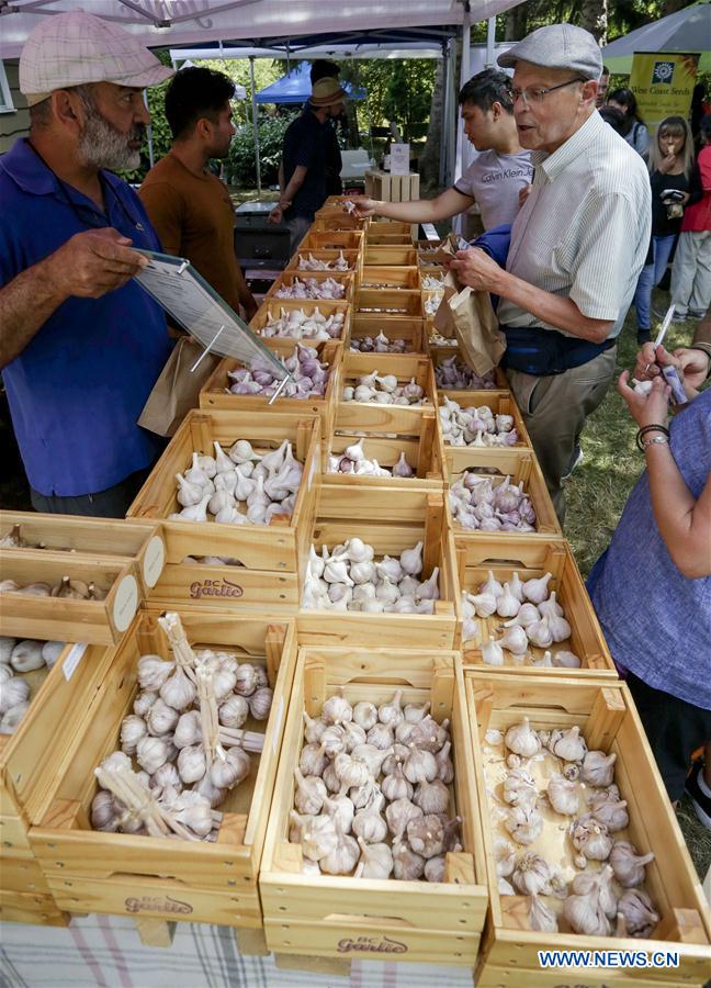 11th annual Garlic Festival held in Richmond, Canada Xinhua English