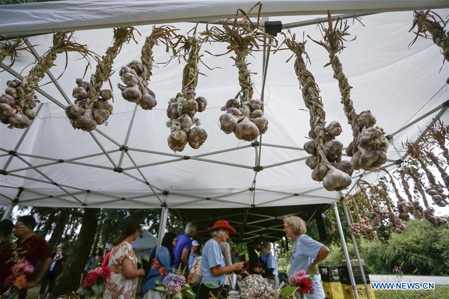 11th annual Garlic Festival held in Richmond, Canada Xinhua English