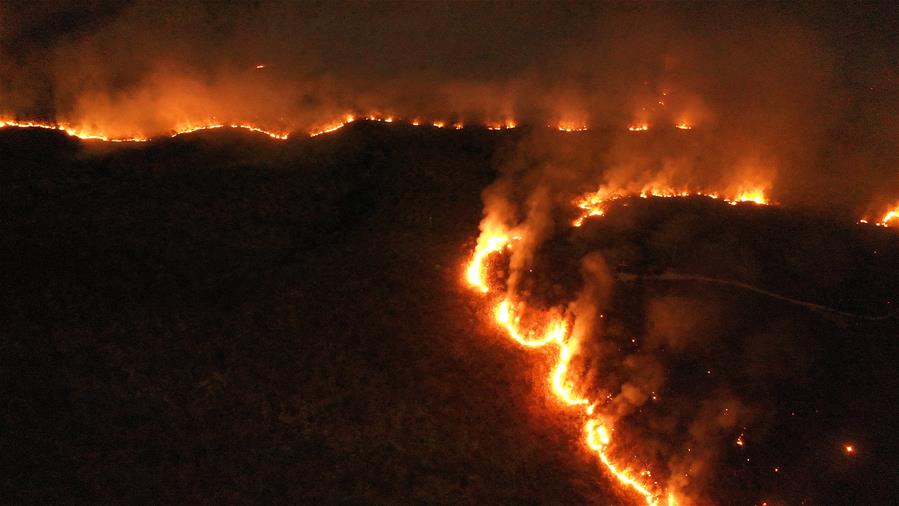 BRAZIL-TOCANTINS-AMAZON FIRES