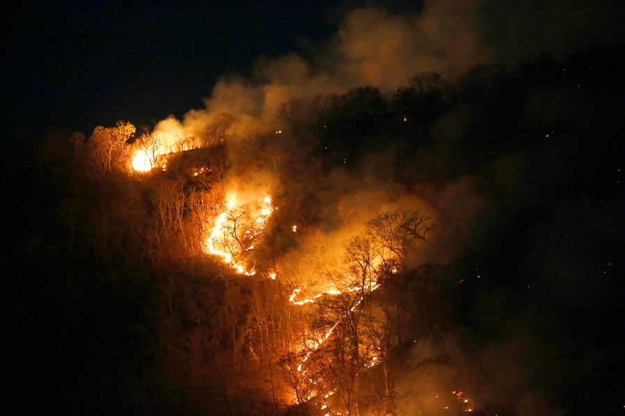 BRAZIL-TOCANTINS-AMAZON FIRES