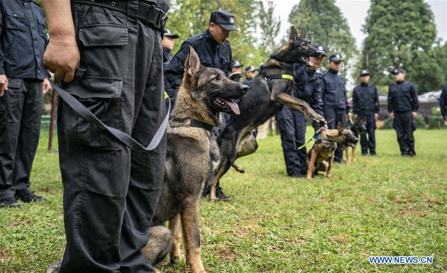 (SCI-TECH)CHINA-YUNNAN-FIRST CLONED POLICE DOG-ASSESSMENT (CN)