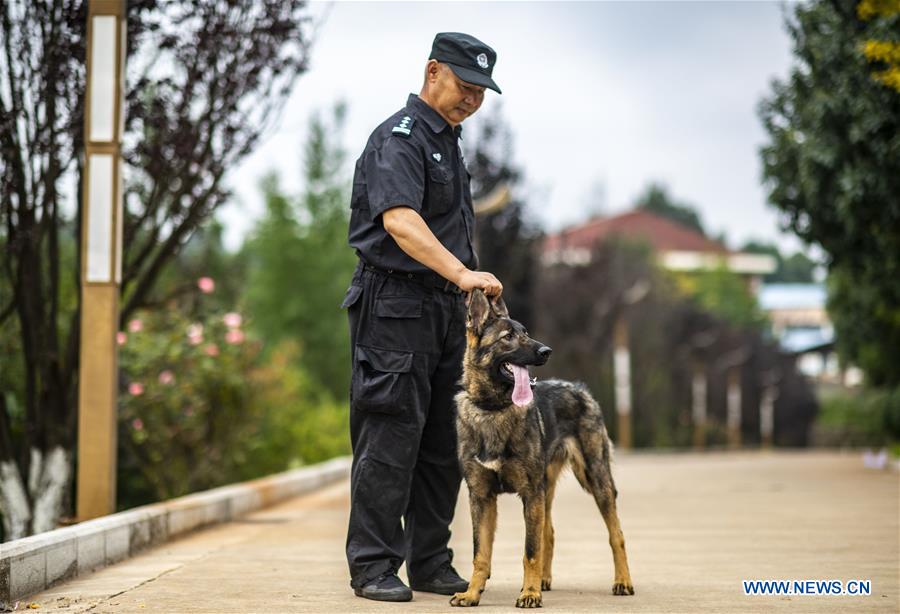(SCI-TECH)CHINA-YUNNAN-FIRST CLONED POLICE DOG-ASSESSMENT (CN)