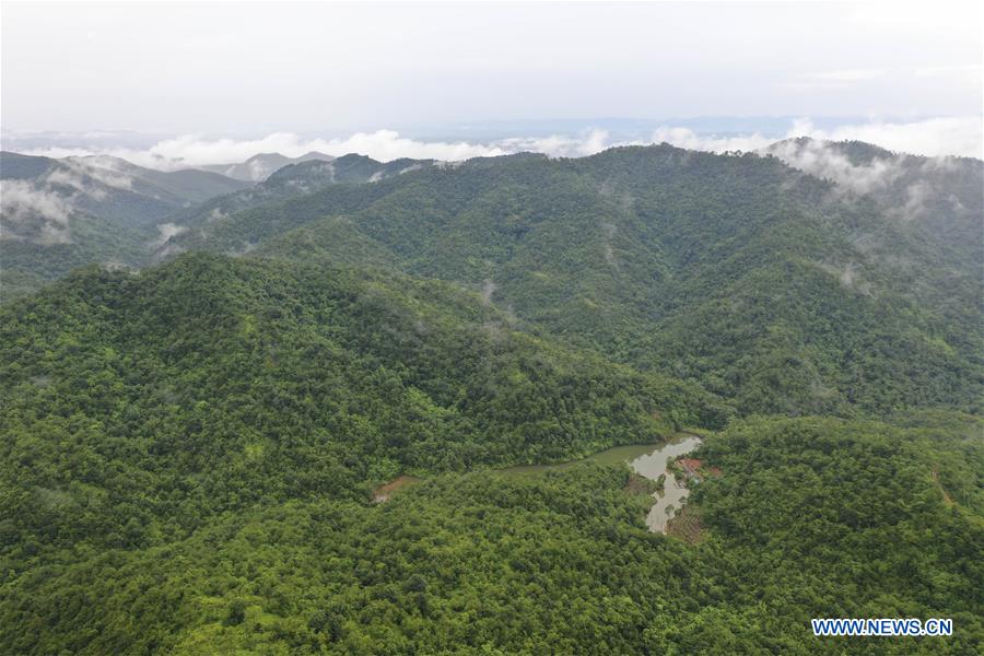 CHINA-GUANGXI-SHIWAN MOUNTAIN NATURE RESERVE-SCENERY(CN)