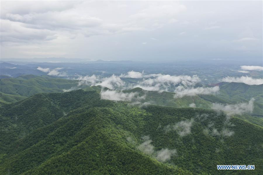 CHINA-GUANGXI-SHIWAN MOUNTAIN NATURE RESERVE-SCENERY(CN)
