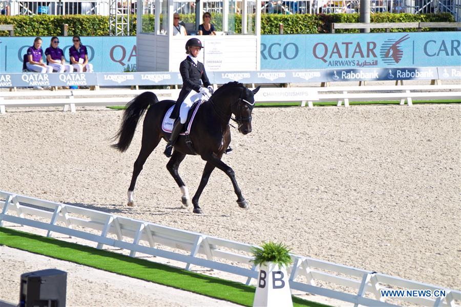 (SP)NETHERLANDS-ROTTERDAM-EQUESTRIAN-EUROPEAN CHAMPIONSHIPS