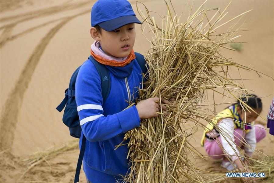 CHINA-NINGXIA-ZHONGWEI-DESERT CONTROL-ACTIVITY(CN)
