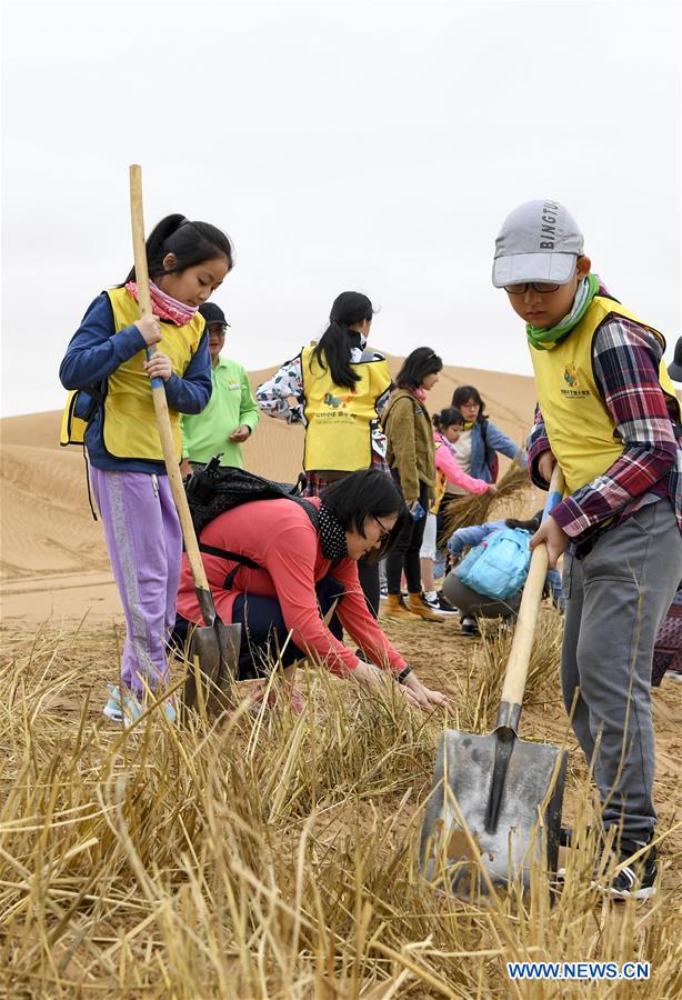 CHINA-NINGXIA-ZHONGWEI-DESERT CONTROL-ACTIVITY(CN)