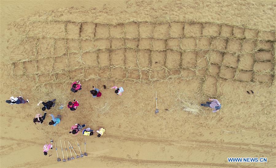 CHINA-NINGXIA-ZHONGWEI-DESERT CONTROL-ACTIVITY(CN)