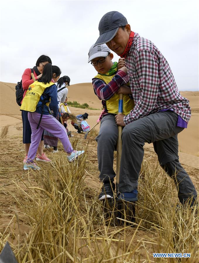 CHINA-NINGXIA-ZHONGWEI-DESERT CONTROL-ACTIVITY(CN)