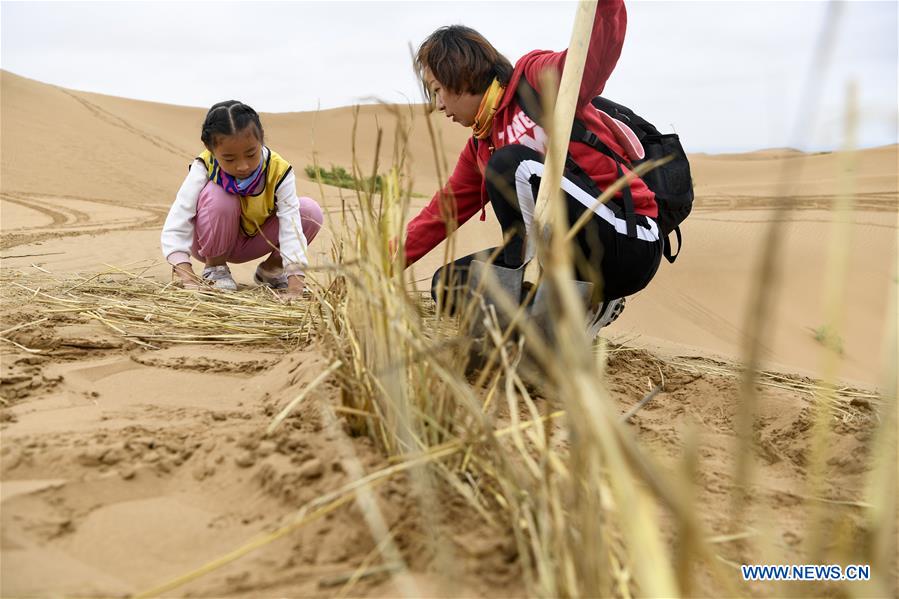 CHINA-NINGXIA-ZHONGWEI-DESERT CONTROL-ACTIVITY(CN)