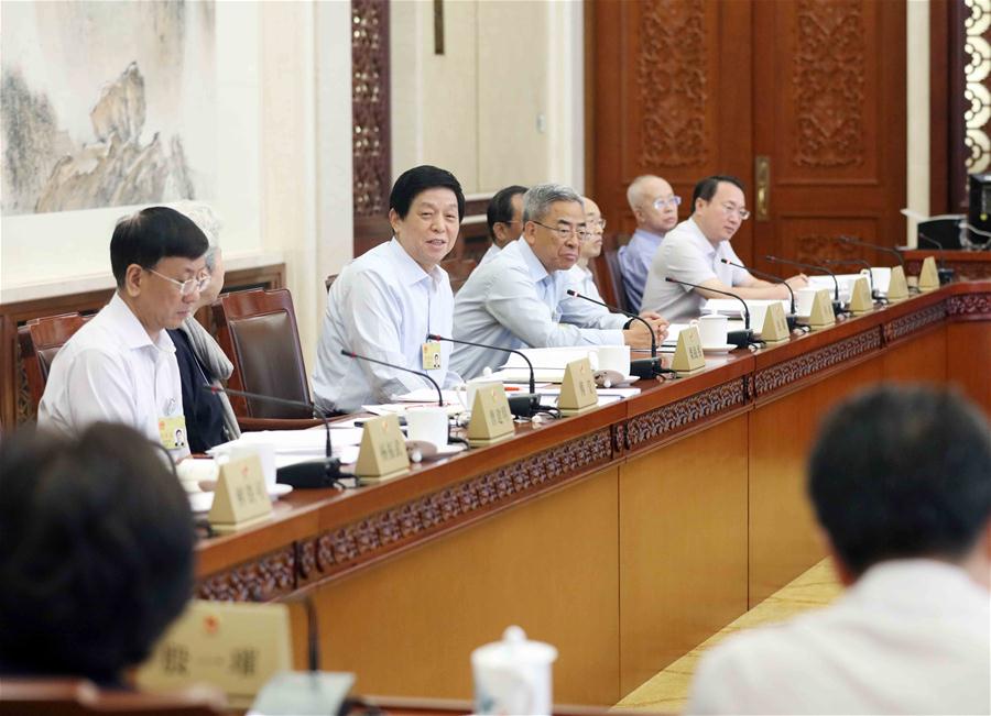 CHINA-BEIJING-LI ZHANSHU-NPC-PANEL DISCUSSION (CN)