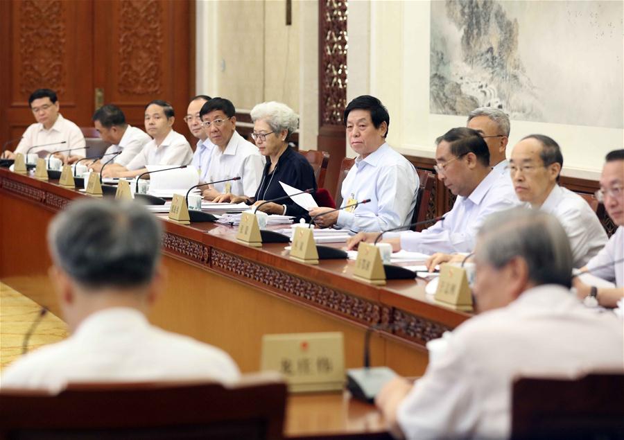 CHINA-BEIJING-LI ZHANSHU-NPC-PANEL DISCUSSION (CN)