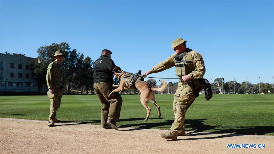 AUSTRALIA-CANBERRA-ADFA-OPEN DAY 