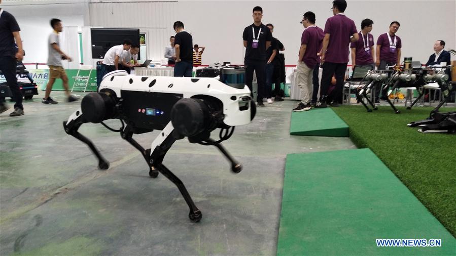 (BeijingCandid)CHINA-BEIJING-WORLD ROBOT EXHIBITION (CN)