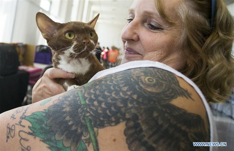 CANADA-TORONTO-CAT SHOW