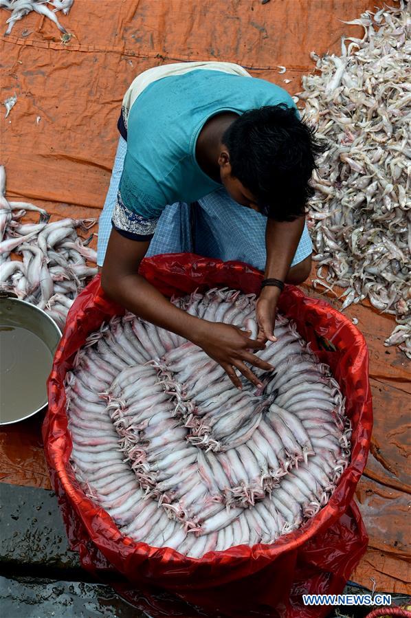 BANGLADESH-CHITTAGONG-FISH MARKET