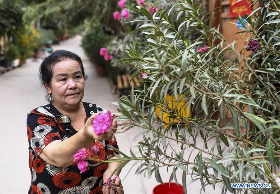 CHINA-XINJIANG-KASHGAR-FLOWER ECONOMY (CN)