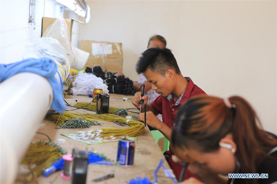 CHINA-GUANGXI-TIANDONG-POVERTY ALLEVIATION (CN)