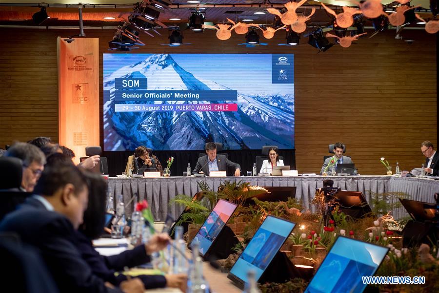 CHILE-PUERTO VARAS-APEC-SOM3