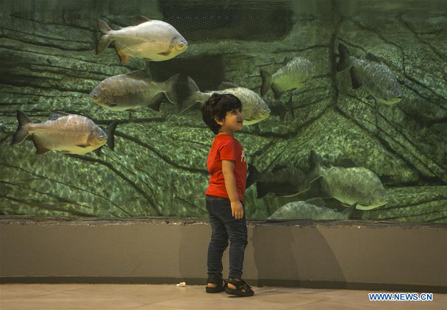 IRAN-ANZALI-NEW AQUARIUM