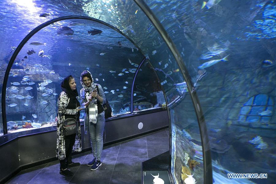 IRAN-ANZALI-NEW AQUARIUM