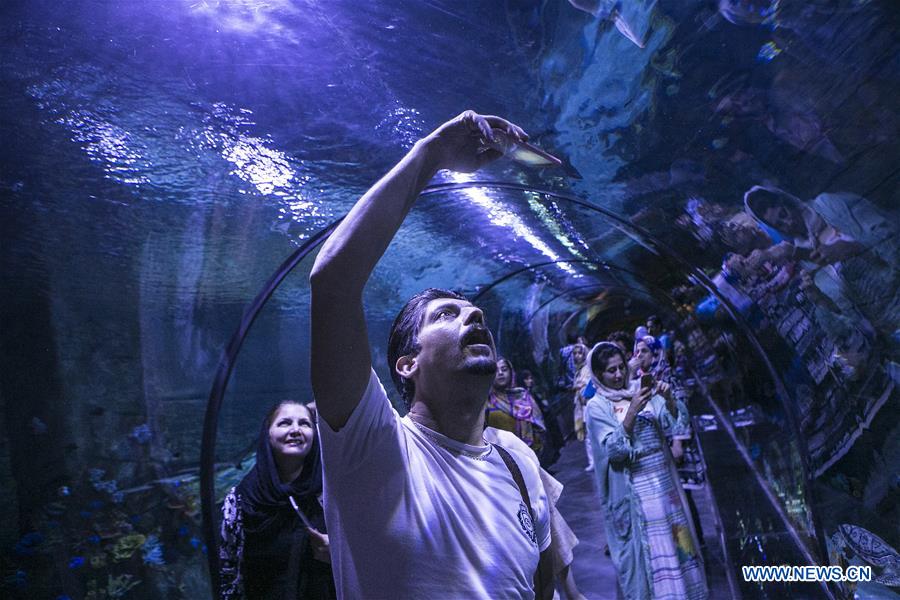 IRAN-ANZALI-NEW AQUARIUM