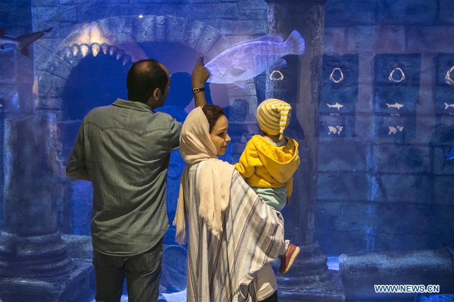 IRAN-ANZALI-NEW AQUARIUM