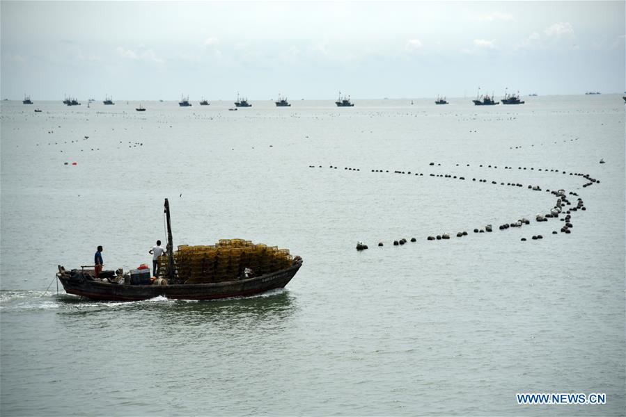 CHINA-SHANDONG-RIZHAO-FISHING SEASON (CN)