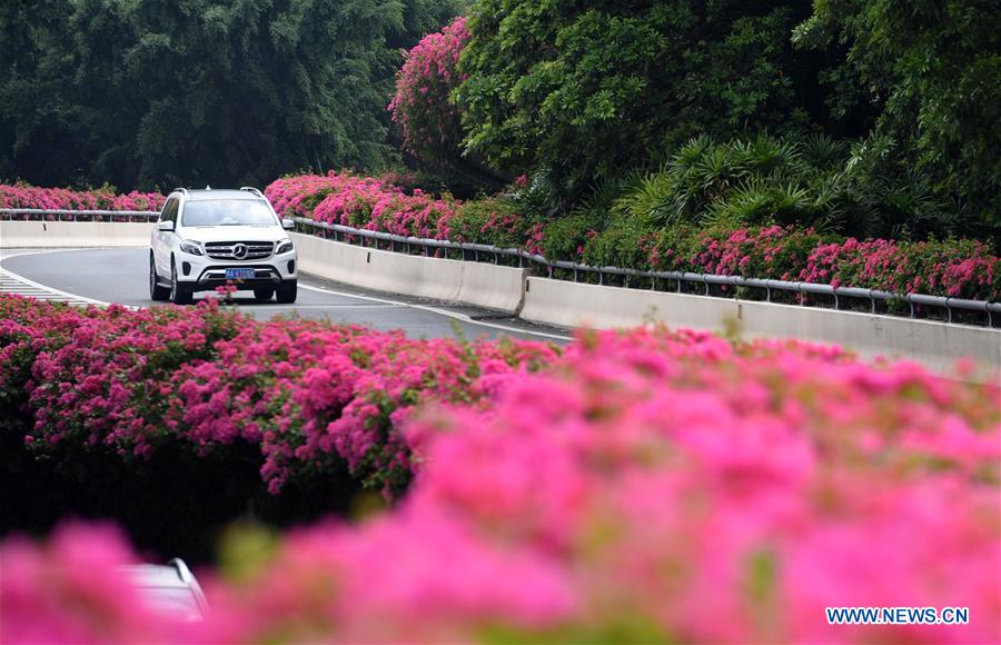 CHINA-NANNING-FLOWERS (CN)