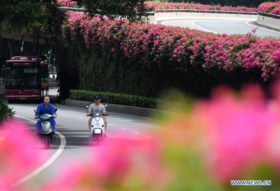 CHINA-NANNING-FLOWERS (CN)