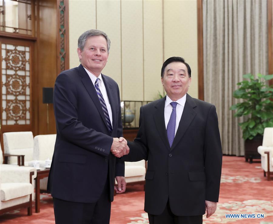 CHINA-BEIJING-WANG CHEN-U.S.-MEETING (CN)