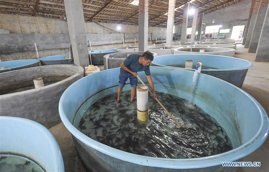 CHINA-CHONGQING-COLD WATER FISH-CULTIVATION (CN)