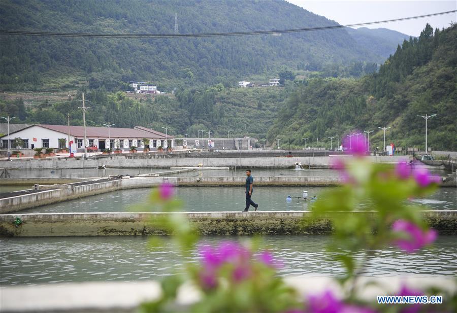 CHINA-CHONGQING-COLD WATER FISH-CULTIVATION (CN)