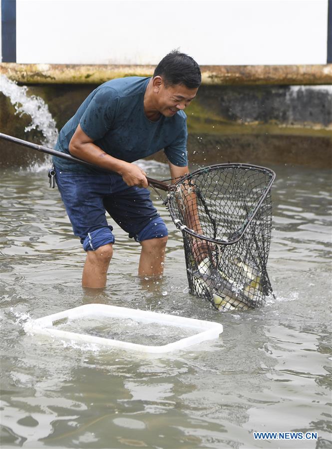CHINA-CHONGQING-COLD WATER FISH-CULTIVATION (CN)