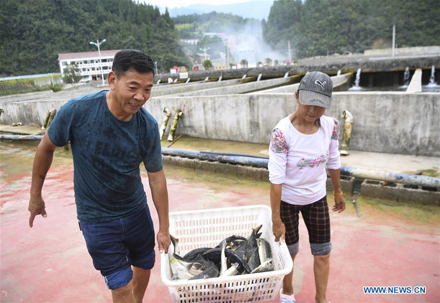 CHINA-CHONGQING-COLD WATER FISH-CULTIVATION (CN)