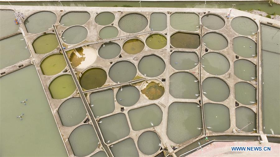 CHINA-CHONGQING-COLD WATER FISH-CULTIVATION (CN)